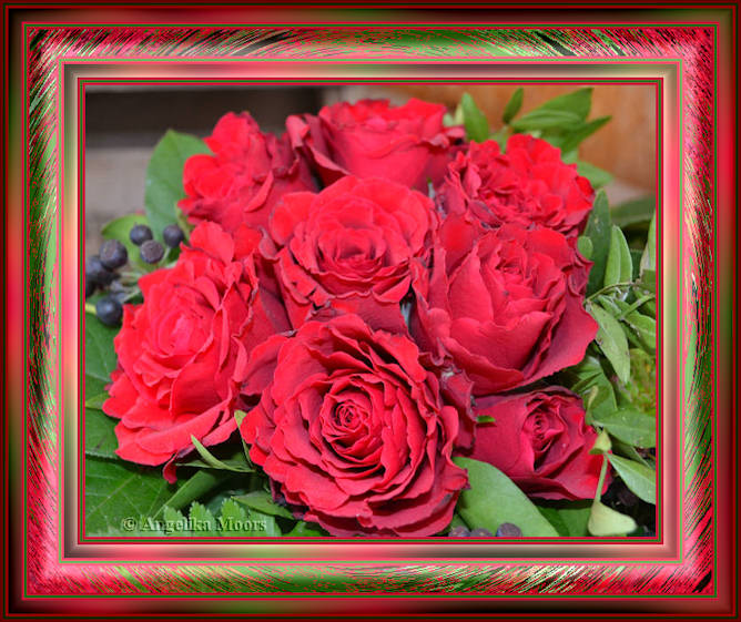 love roses1